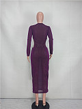 See Through Long Sleeve Hollow Out Dress