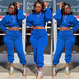 Thicken Long Sleeve Crop Top Sweatpants Set
