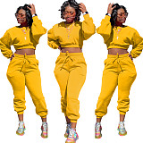 Thicken Long Sleeve Crop Top Sweatpants Set