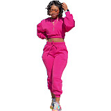 Thicken Long Sleeve Crop Top Sweatpants Set
