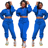 Thicken Long Sleeve Crop Top Sweatpants Set