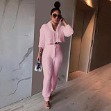 Solid Plush Hooded Crop Top 2 Piece Set