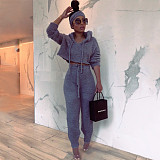 Solid Plush Hooded Crop Top 2 Piece Set