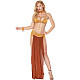 Carnival Cosplay Princess Arab Halloween Set MRP-760