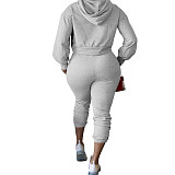 Hollow Hole Hooded Sweatshirt And Pants Set TE-4354