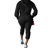 Hollow Hole Hooded Sweatshirt And Pants Set TE-4354