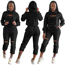 Hollow Hole Hooded Sweatshirt And Pants Set TE-4354