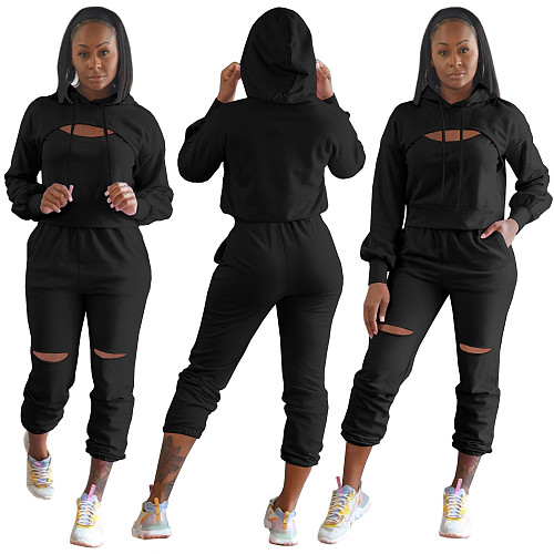 Hollow Hole Hooded Sweatshirt And Pants Set TE-4354