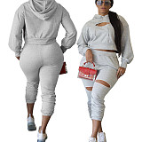 Hollow Hole Hooded Sweatshirt And Pants Set TE-4354