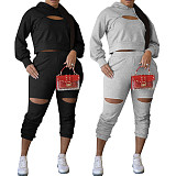Hollow Hole Hooded Sweatshirt And Pants Set TE-4354