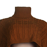 Solid Color Turtleneck Bat Sleeve Sweater Crop Top NY-070