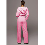 Solid Hooded Crop Top Wide Leg Sweat Pants Set CN-0163