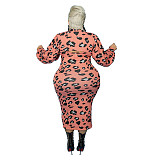 Leopard Print Strap Dress+Mini Crop Top Set OSS-21402