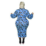 Leopard Print Strap Dress+Mini Crop Top Set OSS-21402