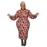 Leopard Print Strap Dress+Mini Crop Top Set OSS-21402