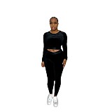Velvet Long Sleeve Crop Tops And Skinny Pants Suits BN-9315