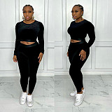 Velvet Long Sleeve Crop Tops And Skinny Pants Suits BN-9315