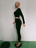 Velvet Long Sleeve Crop Tops And Skinny Pants Suits BN-9315
