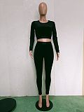 Velvet Long Sleeve Crop Tops And Skinny Pants Suits BN-9315