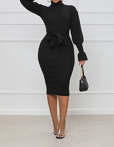 Black Knitted Long Sleeve Turtleneck Pullover Dress BGN-221