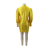 Long Sleeve Commuter Single-breasted Pleated Dress HANI-067