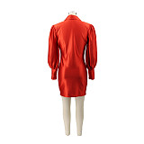Long Sleeve Commuter Single-breasted Pleated Dress HANI-067