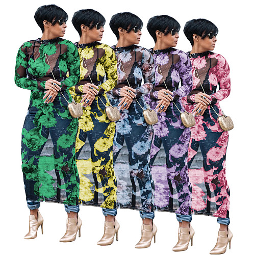 Mesh See Through Floral Print Long Sleeve Dress WY-6421