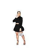 Long Sleeve Crop Top Pleated Skirt Two Piece Set WSM-5279