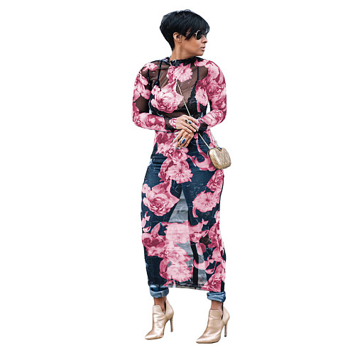 Mesh See Through Floral Print Long Sleeve Dress WY-6421