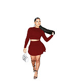 Long Sleeve Crop Top Pleated Skirt Two Piece Set WSM-5279