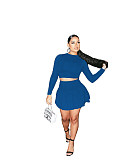 Long Sleeve Crop Top Pleated Skirt Two Piece Set WSM-5279