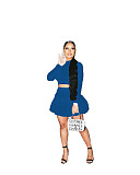 Long Sleeve Crop Top Pleated Skirt Two Piece Set WSM-5279