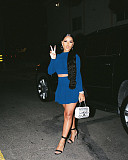 Long Sleeve Crop Top Pleated Skirt Two Piece Set WSM-5279