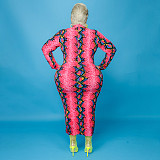 High Waist Print Long Sleeve O Neck Plus Size Dress OSS-21401