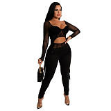 Mesh Patchwork Long Sleeve Crop Top Pencil Pants Set HANI-068