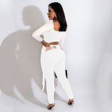 Mesh Patchwork Long Sleeve Crop Top Pencil Pants Set HANI-068