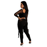 Mesh Patchwork Long Sleeve Crop Top Pencil Pants Set HANI-068