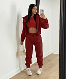 Hooded Zipper Outerwear Pants Tracksuit 3 Piece Sets TK-6209