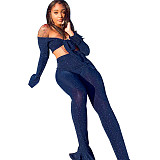 Glitter Off Shoulder Crop Top and Flare Pants Set SH-3416