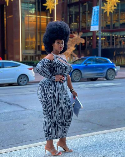 One Shoulder Long Sleeve Hollow Out Plus Size Dress HEJ-21S6101
