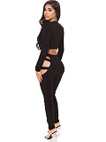 Hollow Out Skinny Long Sleeve Crop Top Pencil Pants Suit PY-8450