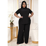 Casual Short Sleeve Shirt and Wide Leg Pants Set ASL-7070