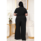 Casual Short Sleeve Shirt and Wide Leg Pants Set ASL-7070