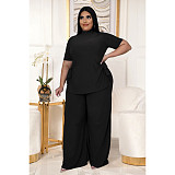 Casual Short Sleeve Shirt and Wide Leg Pants Set ASL-7070