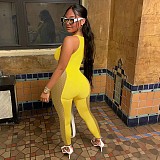 Sheer Mesh Patchwork Sleeveless Cut Out Jumpsuit NIK-269