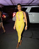 Sheer Mesh Patchwork Sleeveless Cut Out Jumpsuit NIK-269