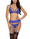 Seductive Lace Strappy Bralette Set with Garter Belt TLJ-128