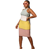 Patchwork Sleeveless Knit Bodycon Dress GLS-10083