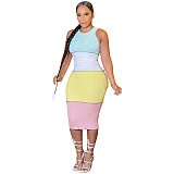 Patchwork Sleeveless Knit Bodycon Dress GLS-10083