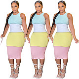 Patchwork Sleeveless Knit Bodycon Dress GLS-10083